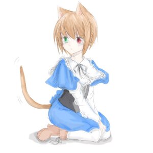 Rating: Safe Score: 0 Tags: 1girl animal_ears blush cat_ears cat_tail full_body heterochromia image long_sleeves red_eyes short_hair simple_background sitting solo souseiseki tail tears white_background white_legwear User: admin