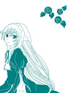 Rating: Safe Score: 0 Tags: 1girl closed_mouth dress flower heterochromia image juliet_sleeves long_hair long_sleeves looking_at_viewer monochrome puffy_sleeves red_eyes ribbon simple_background solo striped suiseiseki vertical_stripes very_long_hair white_background User: admin