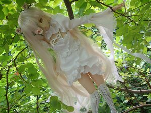 Rating: Safe Score: 0 Tags: 1girl doll dress kirakishou leaf long_hair plant solo very_long_hair vines white_dress white_hair User: admin