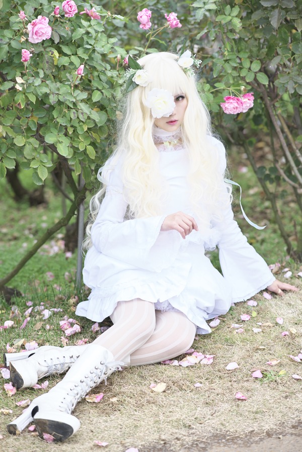 1girl animal_ears dress flower hair_over_one_eye kirakishou leaf long_hair pantyhose petals pink_flower pink_rose rose shoes sitting solo striped striped_legwear vertical-striped_legwear vertical_stripes white_hair