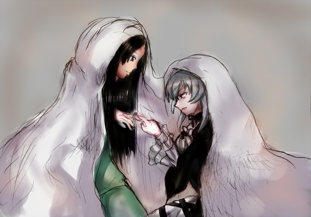 2girls black_eyes black_hair cloak hood image kakizaki_megu long_hair long_sleeves looking_at_another multiple_girls scar solo suigintou veil