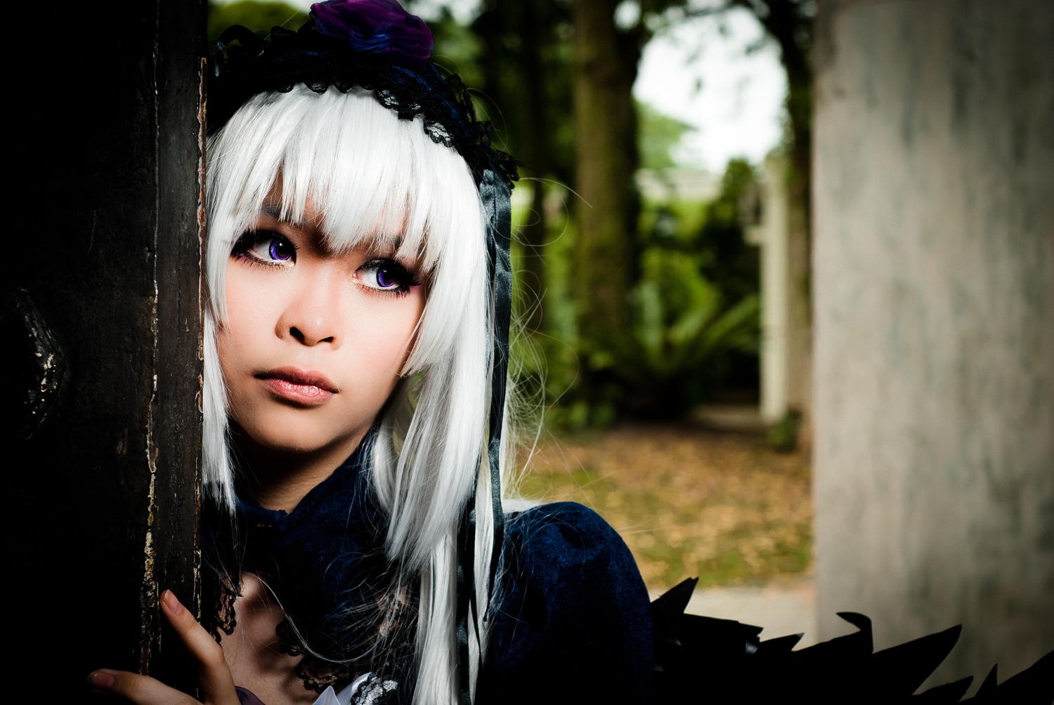 1girl bangs blurry blurry_background closed_mouth depth_of_field flower hairband lips long_hair looking_at_viewer purple_eyes silver_hair solo suigintou