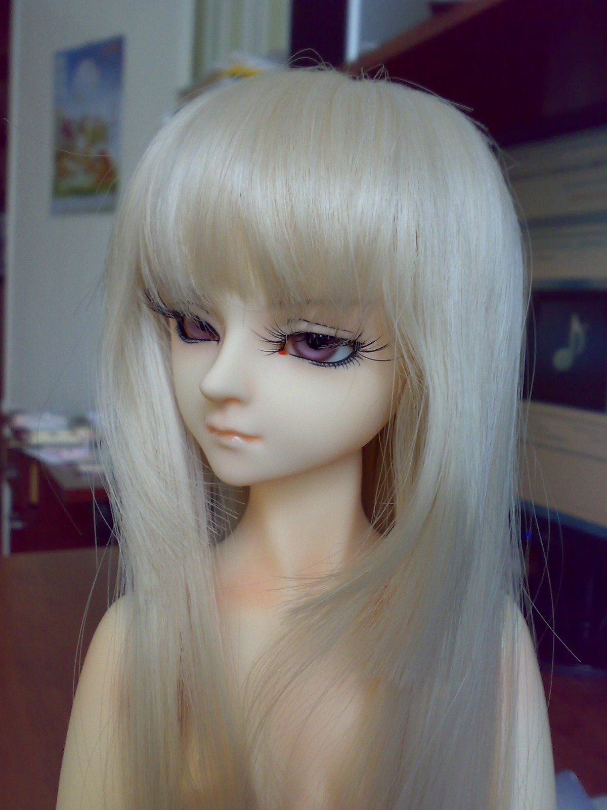 1girl bangs blurry blurry_background blurry_foreground closed_mouth depth_of_field doll indoors lips long_hair looking_at_viewer photo purple_eyes solo suigintou upper_body white_hair