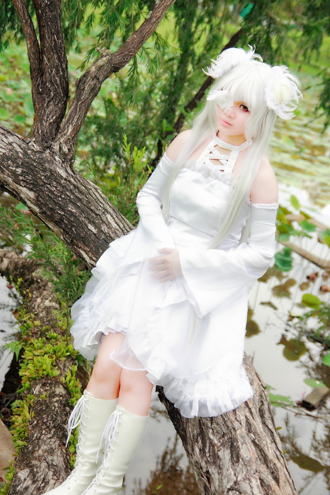 1girl animal_ears bare_shoulders detached_sleeves dress grass kirakishou lips outdoors sitting solo standing tree white_dress white_hair white_legwear white_theme