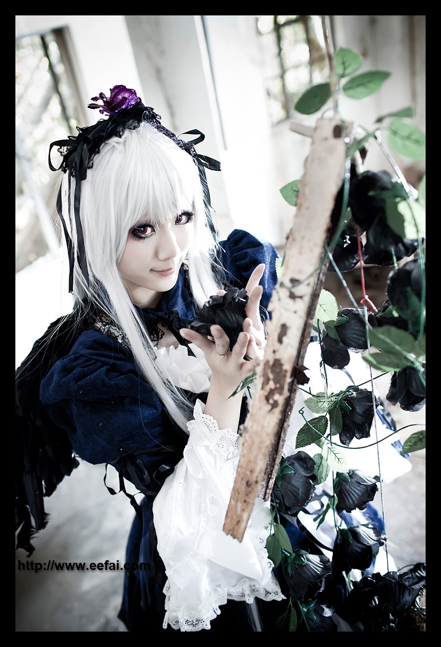 1girl black_border dress flower frills hairband letterboxed long_hair long_sleeves plant silver_hair solo suigintou