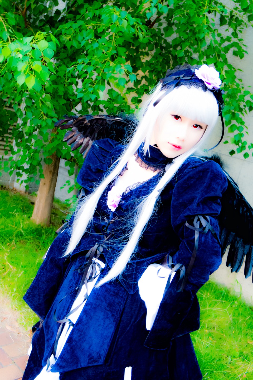 1girl choker dress flower lips red_eyes solo standing suigintou white_hair