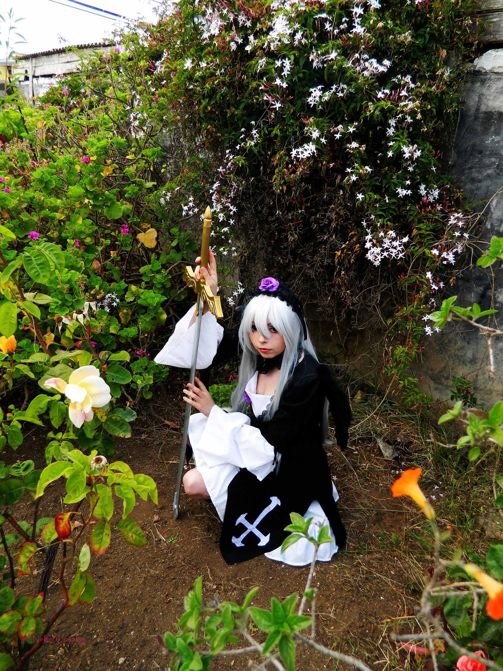 1girl dress flower long_hair plant sitting solo suigintou white_hair