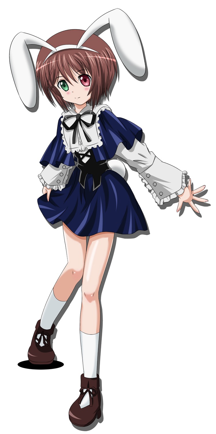 1girl animal_ears blue_dress blush brown_hair bunny_ears dress frills full_body green_eyes heterochromia image long_sleeves looking_at_viewer red_eyes ribbon shoes short_hair simple_background smile socks solo souseiseki standing white_background white_legwear