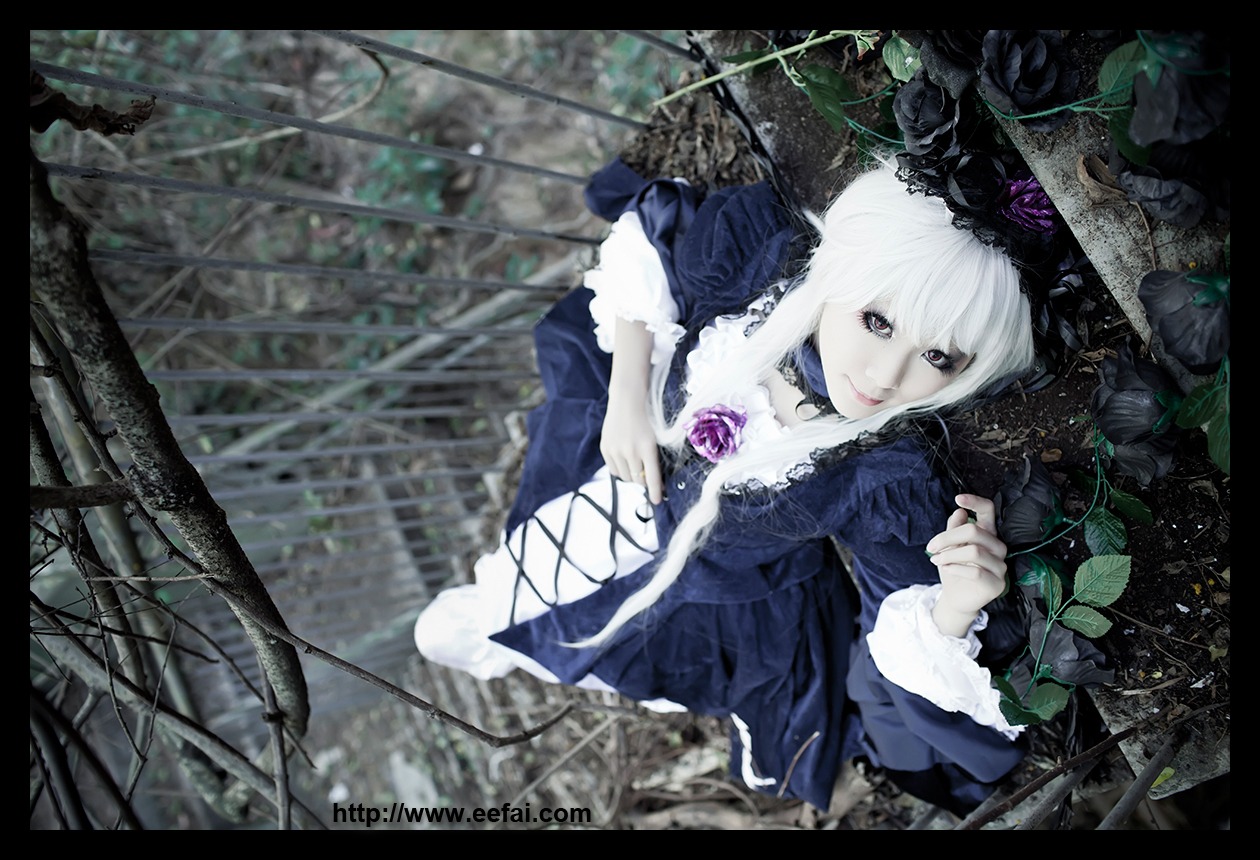 1girl black_border dress flower frills letterboxed pillarboxed rose solo suigintou white_hair