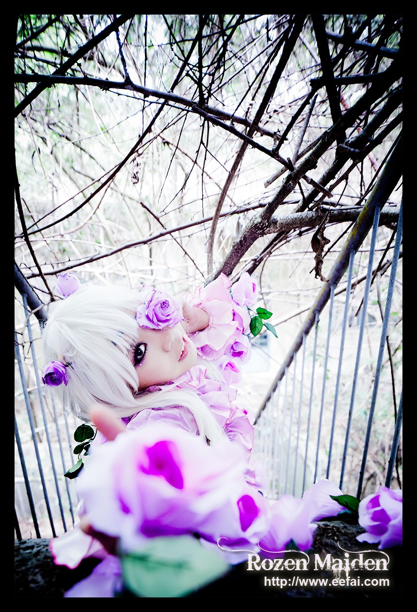 1girl auto_tagged barasuishou black_border blurry depth_of_field dress flower letterboxed long_hair purple_eyes purple_flower rose solo white_hair