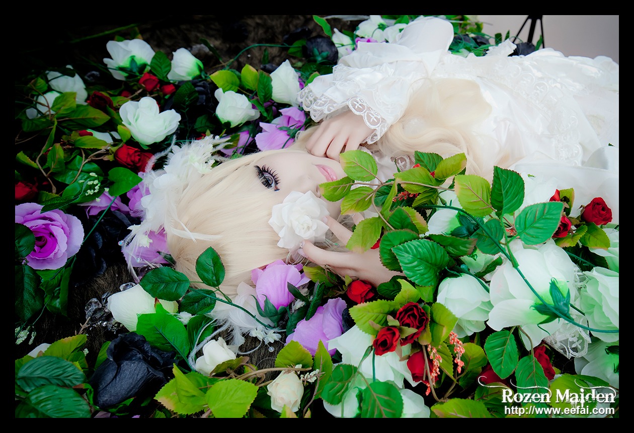 1girl black_border dress flower kirakishou leaf letterboxed plant red_flower red_rose rose solo