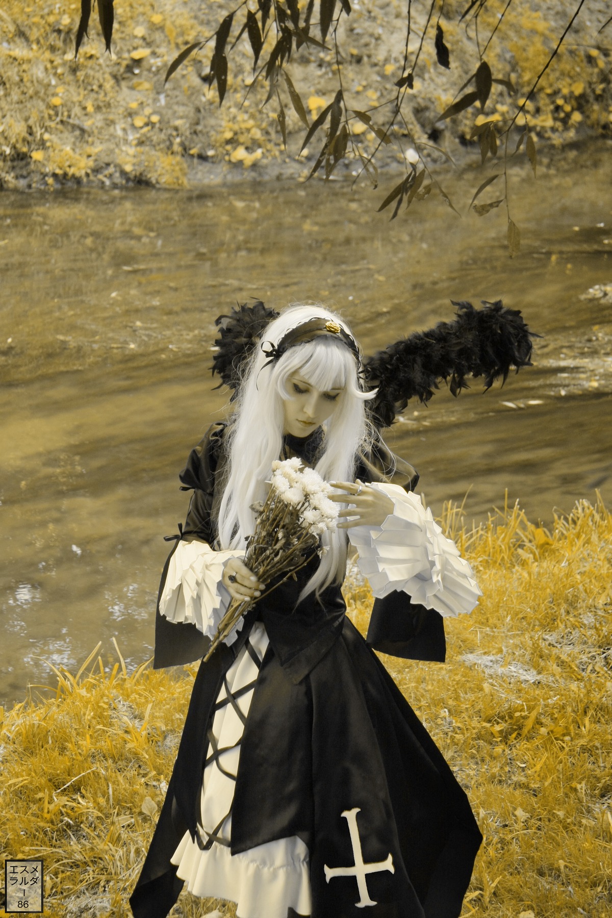 1girl auto_tagged dress field flower hairband long_hair long_sleeves outdoors solo standing suigintou white_hair wide_sleeves