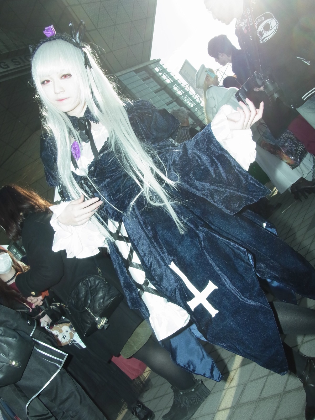 1girl cat dress gothic_lolita long_hair long_sleeves looking_at_viewer red_eyes solo standing suigintou