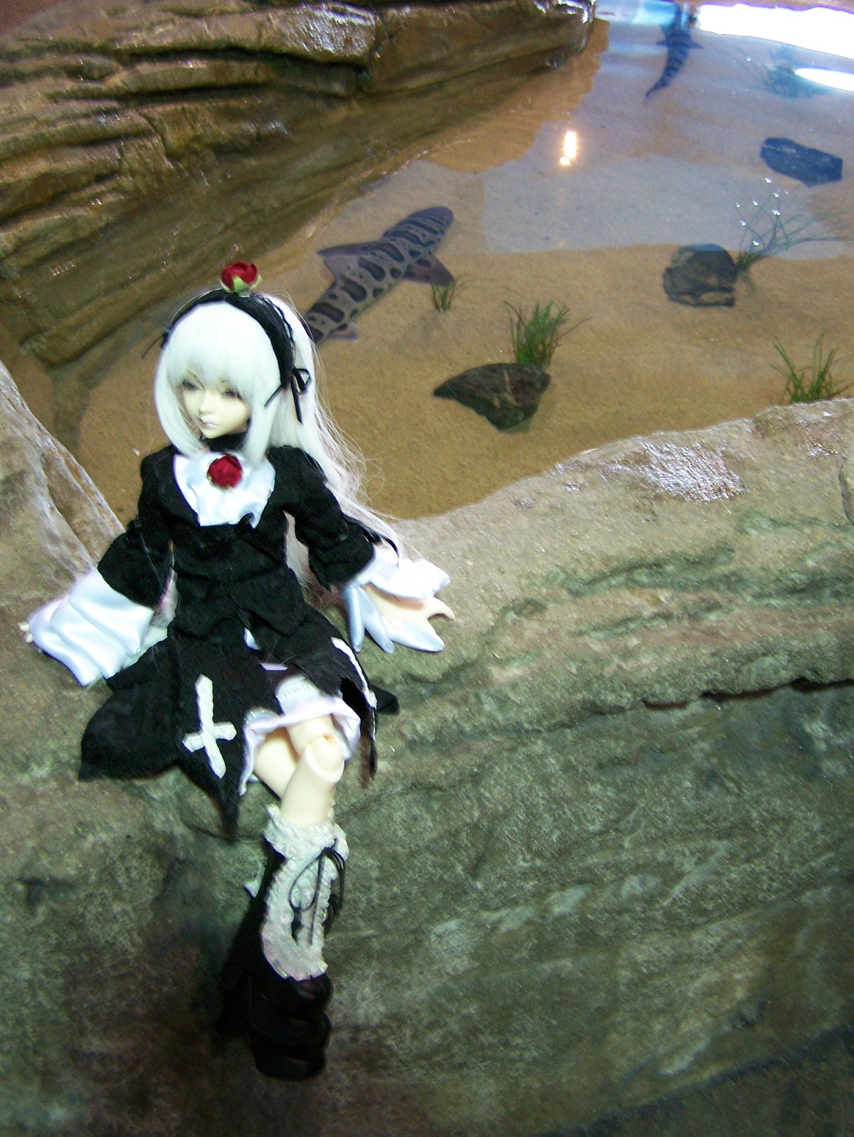 1girl boots closed_eyes doll dress feathers gothic_lolita grass hairband long_hair long_sleeves photo sitting solo suigintou white_hair wings
