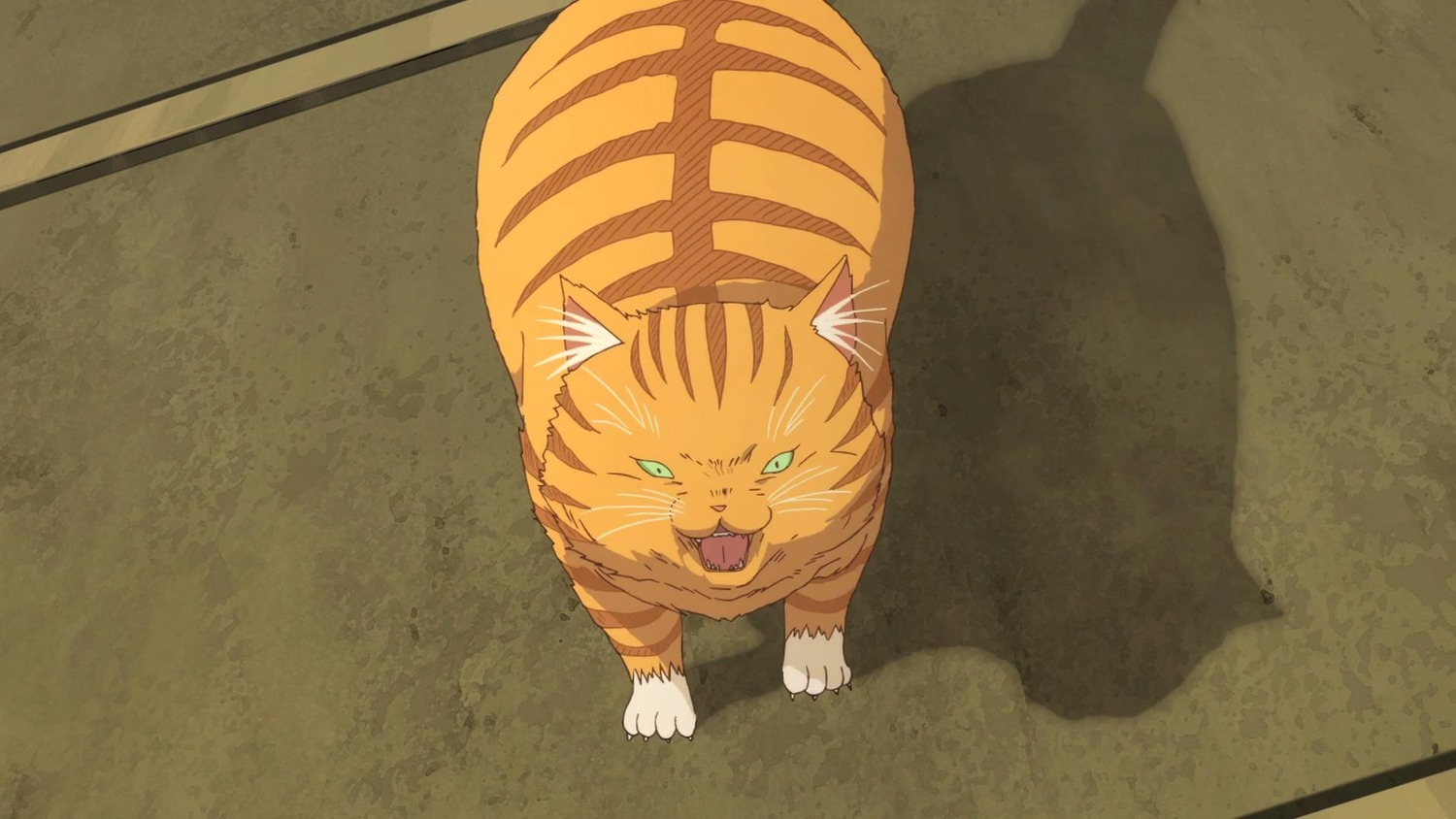 cat full_body no_humans solo standing