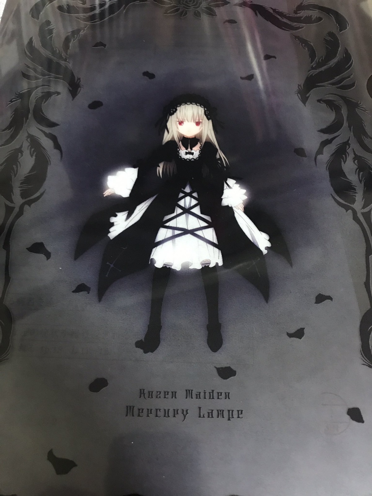 1girl black_dress black_legwear dress feathers flower frills full_body hairband image lolita_fashion long_hair long_sleeves looking_at_viewer red_eyes ribbon rose solo standing suigintou wide_sleeves