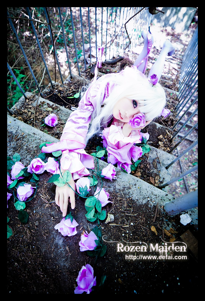 1girl barasuishou black_border blue_eyes flower letterboxed long_hair purple_flower rose solo white_hair