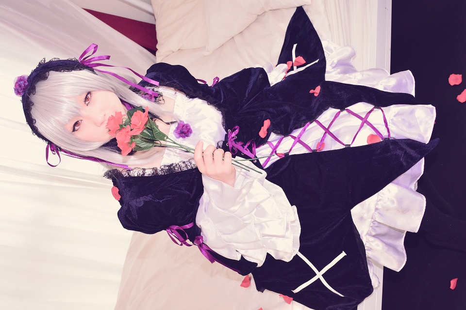 1girl dress flower frills hairband long_hair long_sleeves petals rose silver_hair solo suigintou