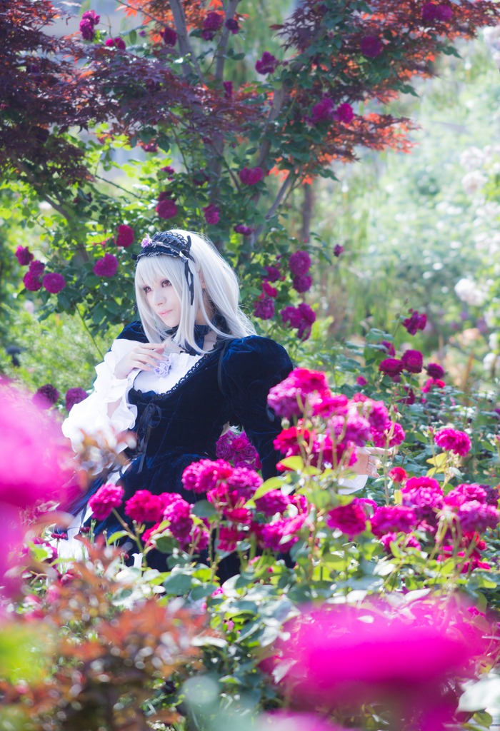 1girl black_dress blurry depth_of_field dress flower frills gothic_lolita hairband lolita_fashion long_hair red_eyes solo suigintou white_hair
