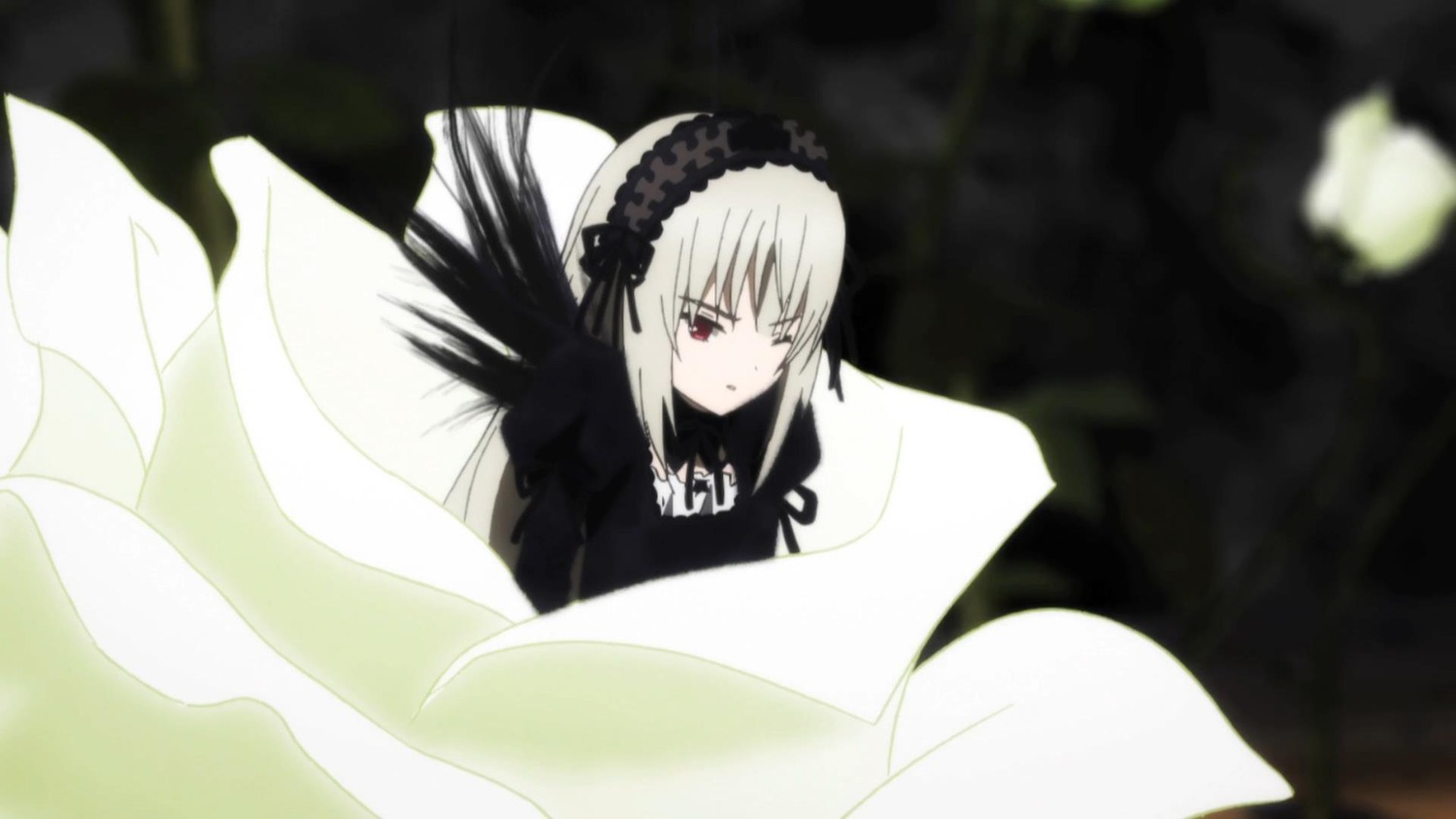 1girl black_dress black_ribbon black_wings dress flower hairband image long_hair long_sleeves looking_at_viewer red_eyes ribbon rose silver_hair solo suigintou wings