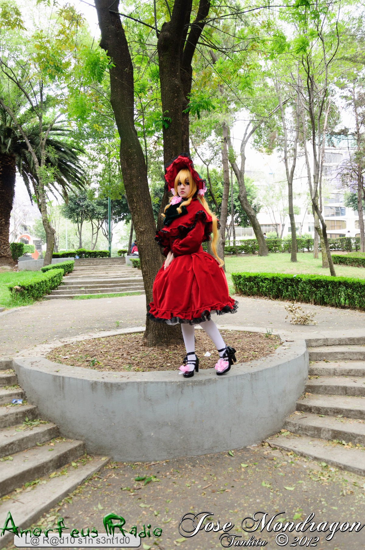 1girl blonde_hair day dress long_sleeves looking_at_viewer nature outdoors red_dress shinku shoes short_hair solo tree white_legwear