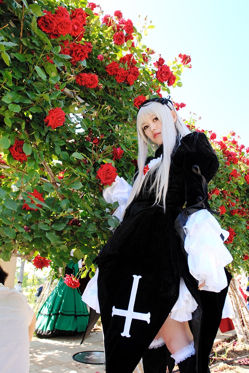 1girl black_dress camellia dress flower long_hair looking_at_viewer red_flower red_rose rose solo standing suigintou white_hair