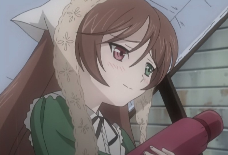 1girl auto_tagged blush braid brown_hair closed_mouth dress green_dress head_scarf heterochromia image long_hair red_eyes solo suiseiseki twin_braids