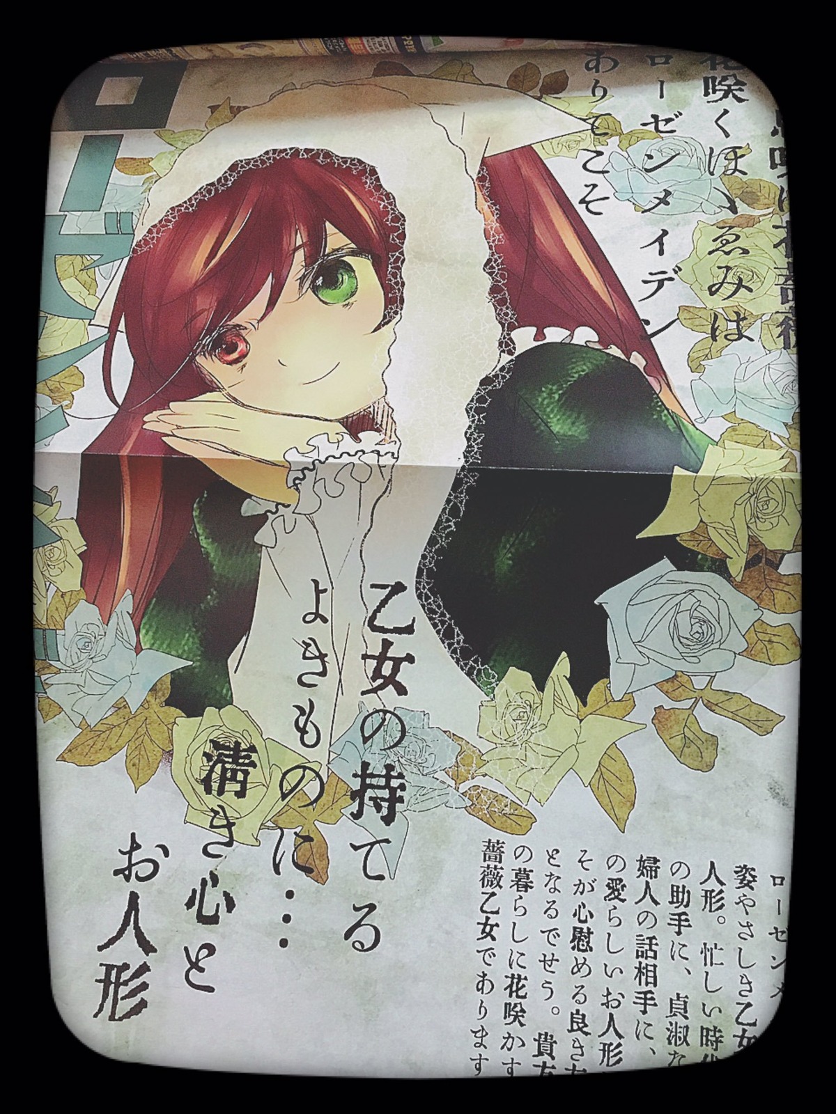 1girl black_border flower green_eyes heterochromia image letterboxed long_hair looking_at_viewer red_eyes rose smile solo suiseiseki