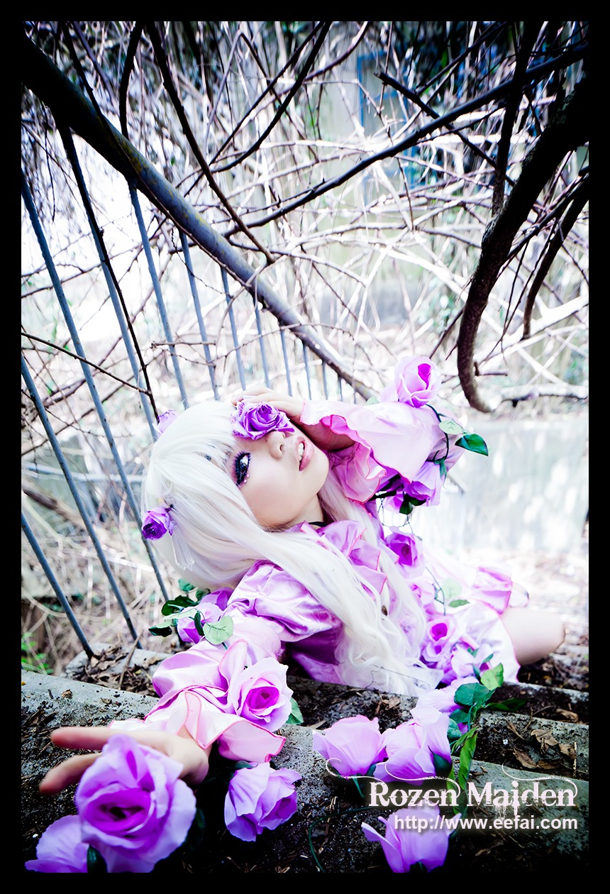 1girl barasuishou english_text flower hair_ornament letterboxed long_hair purple_eyes rose solo thorns white_hair