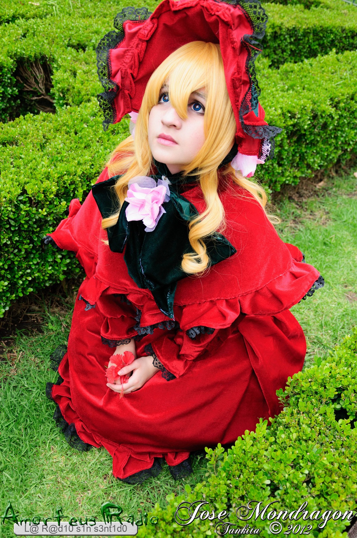 1girl blonde_hair blue_eyes bonnet bow bug butterfly capelet dress flower grass insect lips long_hair outdoors red_capelet red_dress rose shinku sitting solo