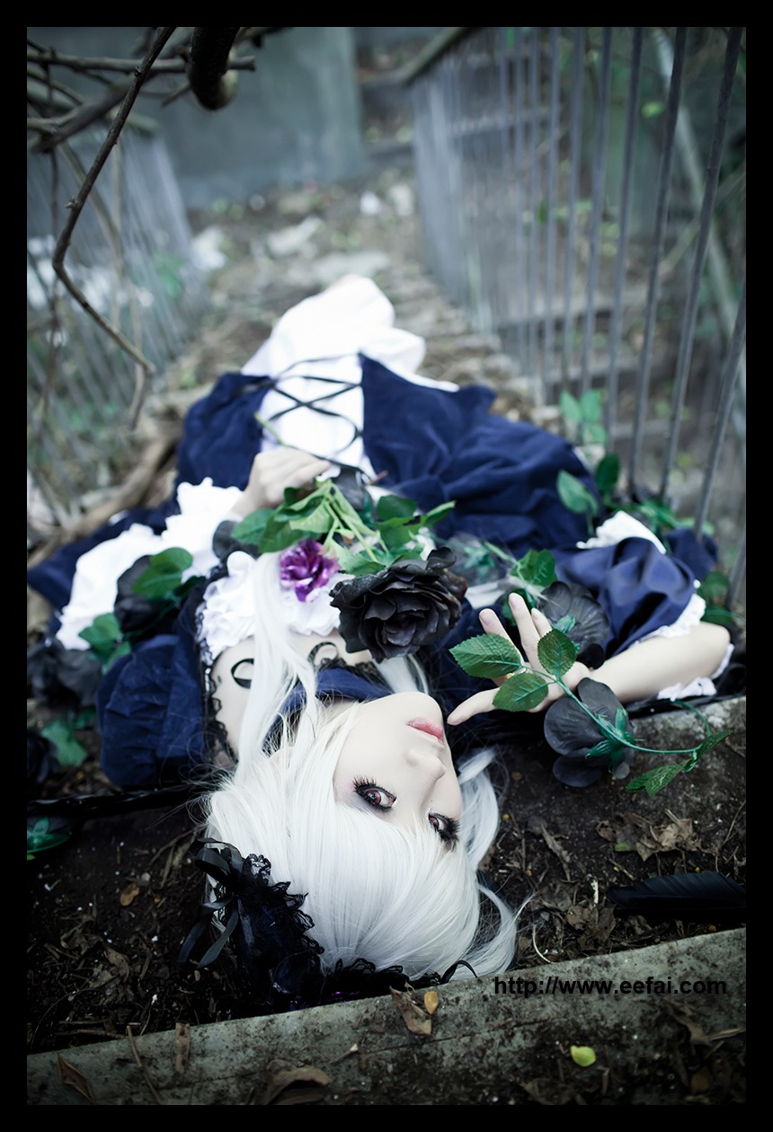 1girl 3d black_border flower frills letterboxed lips rose solo suigintou white_hair