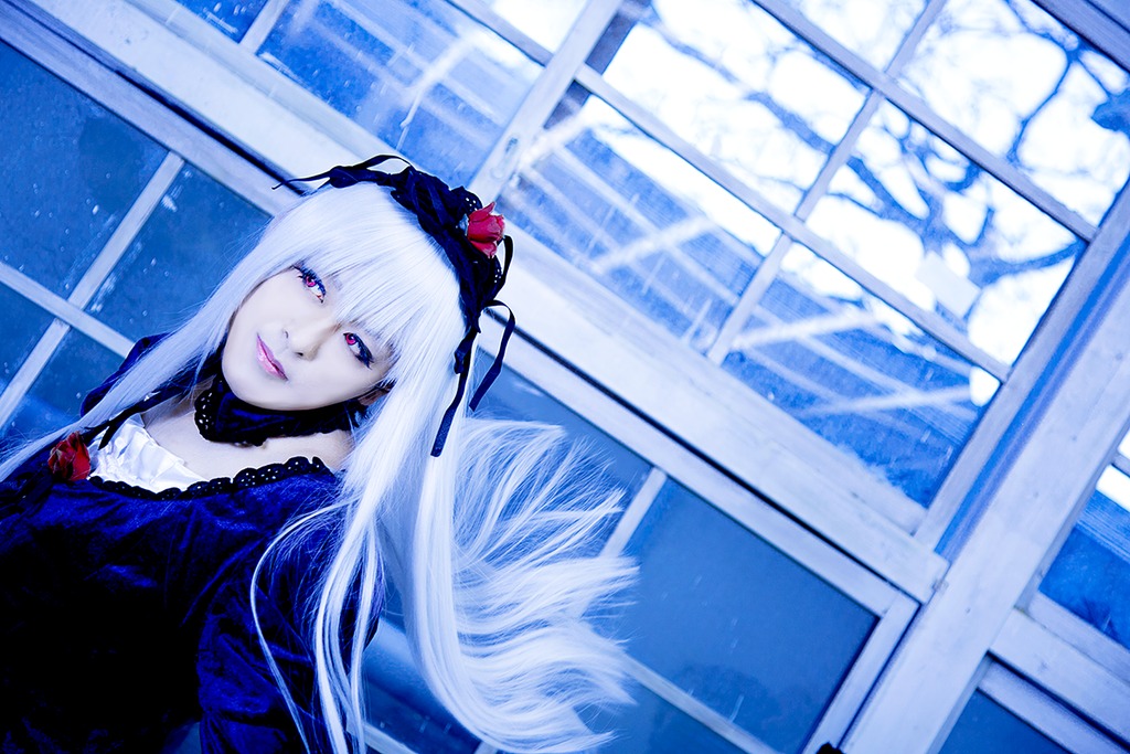 1girl dress flower indoors long_hair looking_at_viewer rose smile solo suigintou window