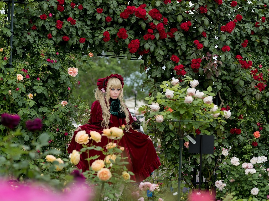 1girl blonde_hair blue_eyes bonnet bow bush capelet dress flower garden hairband lolita_fashion long_hair pink_rose plant red_capelet red_dress red_flower red_rose rose shinku solo