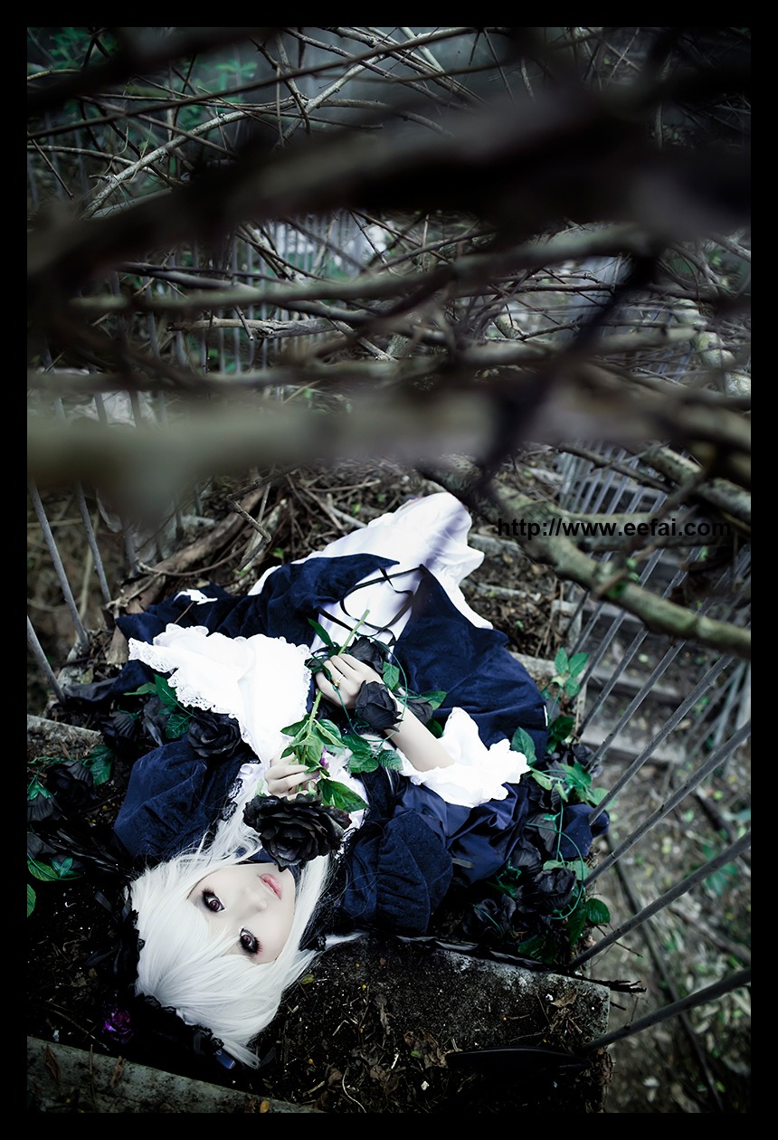 1girl black_border blue_flower blue_rose blurry depth_of_field dress flower letterboxed lips lolita_fashion looking_at_viewer plant rose solo suigintou vines white_hair