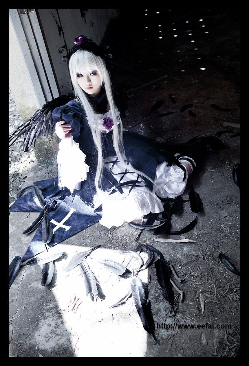 1girl bird black_border crow dress feathers flower hat letterboxed long_hair long_sleeves silver_hair solo suigintou very_long_hair white_hair