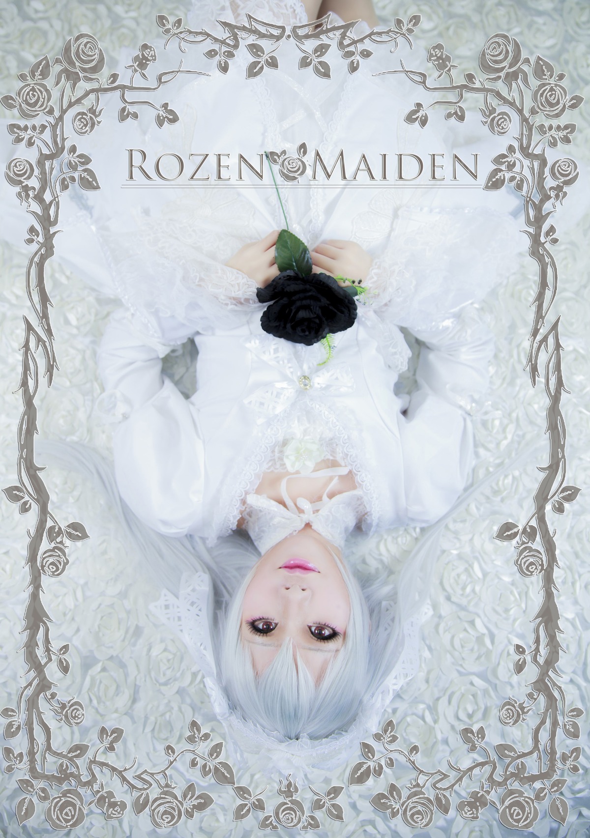 1girl dress eyelashes flower lace lips long_hair long_sleeves looking_at_viewer rose solo striped suigintou vertical_stripes white_hair white_rose