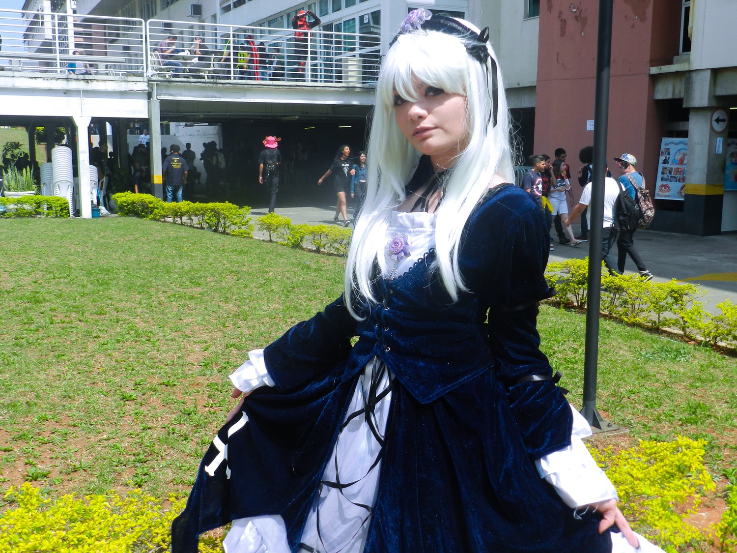 3d dress flower long_hair long_sleeves multiple_girls photo solo suigintou